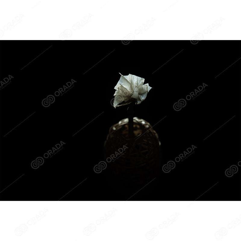 (写真)魅力シリーズ#002 竹紙